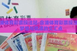 含浦体育彩票投注站-含浦体育彩票投注站，梦想与机遇的交汇点