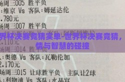 世界杯决赛竞猜实单-世界杯决赛竞猜，激情与智慧的碰撞