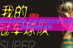 世界杯在哪竞猜-世界杯在哪竞猜，全民狂欢的智慧与乐趣