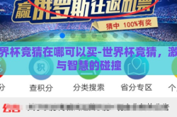 世界杯竞猜在哪可以买-世界杯竞猜，激情与智慧的碰撞