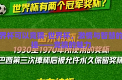 世界杯可以竞猜-世界杯，激情与智慧的碰撞——竞猜的魅力