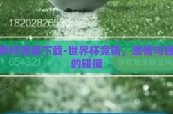 世界杯竞猜下载-世界杯竞猜，激情与智慧的碰撞