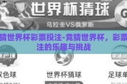 竞猜世界杯彩票投注-竞猜世界杯，彩票投注的乐趣与挑战