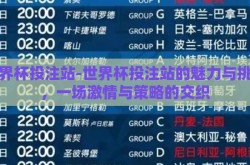 世界杯投注站-世界杯投注站的魅力与挑战，一场激情与策略的交织