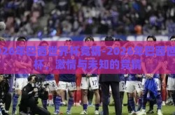 2026年巴西世界杯竞猜-2026年巴西世界杯，激情与未知的竞猜