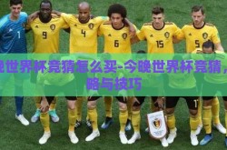 今晚世界杯竞猜怎么买-今晚世界杯竞猜，策略与技巧
