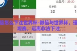 微信怎么下注世界杯-微信与世界杯，理性观赛，远离非法下注
