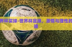 世界杯买球-世界杯足球，激情与理性的碰撞