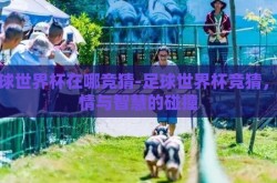 足球世界杯在哪竞猜-足球世界杯竞猜，激情与智慧的碰撞