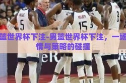 男篮世界杯下注-男篮世界杯下注，一场激情与策略的碰撞