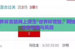 世界杯竞猜网上投注-世界杯竞猜，网络投注的乐趣与风险