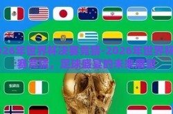 2026年世界杯决赛竞猜-2026年世界杯决赛竞猜，足球盛宴的未来展望