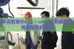 世界杯竞猜集fb822丶com-世界杯竞猜，激情与智慧的碰撞