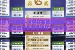 世界杯下注网站-世界杯激情与理性下注，探索合法安全的世界杯下注平台