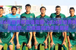 2026年世界杯四强竞猜-2026年世界杯四强猜想，足球盛宴的未来展望
