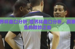 世界杯盘口分析-世界杯盘口分析，洞察胜负的微妙之处