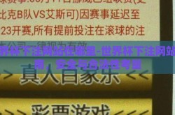 世界杯下注网站在哪里-世界杯下注网站指南，安全与合法性考量