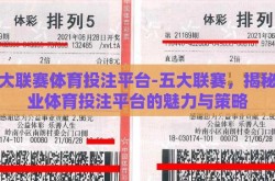 五大联赛体育投注平台-五大联赛，揭秘专业体育投注平台的魅力与策略