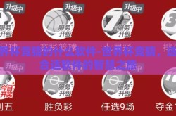 世界杯竞猜的什么软件-世界杯竞猜，选择合适软件的智慧之旅