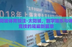 太阳城体育投注-太阳城，数字娱乐与体育竞技的璀璨新篇章