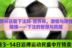 世界杯还能下注吗-世界杯，激情与理性的碰撞——下注的智慧与风险