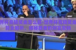 世界杯竞猜奖金怎么算-世界杯竞猜奖金计算全解析，揭秘胜者的财富密码