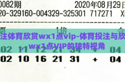 投注体育欣赏wх1点vip-体育投注与欣赏，wх1点VIP的独特视角