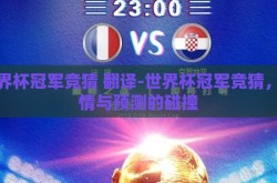 世界杯冠军竞猜 翻译-世界杯冠军竞猜，激情与预测的碰撞