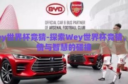 wey世界杯竞猜-探索Wey世界杯竞猜，激情与智慧的碰撞