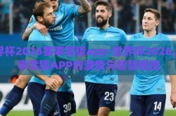 世界杯2026赛事竞猜app-世界杯2026，赛事竞猜APP的激情与智慧碰撞