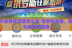 今天世界杯竞猜怎么买-世界杯竞猜，智慧与激情的碰撞