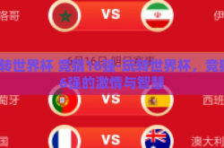 玩转世界杯 竞猜16强-玩转世界杯，竞猜16强的激情与智慧