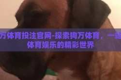 狗万体育投注官网-探索狗万体育，一站式体育娱乐的精彩世界