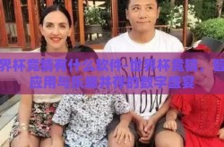 世界杯竞猜有什么软件-世界杯竞猜，智能应用与乐趣并存的数字盛宴