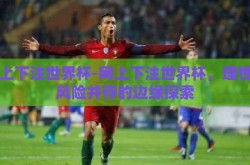 网上下注世界杯-网上下注世界杯，理性与风险并存的边缘探索