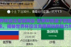 世界杯投注竞猜网站-世界杯热潮下的数字娱乐，揭秘世界杯投注竞猜网站的魅力与风险