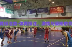 体育投注类-体育投注，激情与策略的交织