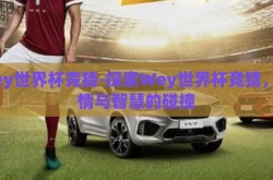 wey世界杯竞猜-探索Wey世界杯竞猜，激情与智慧的碰撞