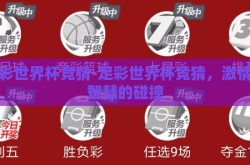 足彩世界杯竞猜-足彩世界杯竞猜，激情与智慧的碰撞
