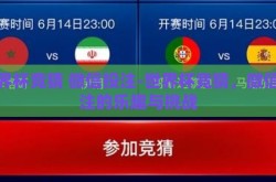 世界杯竞猜 微信投注-世界杯竞猜，微信投注的乐趣与挑战