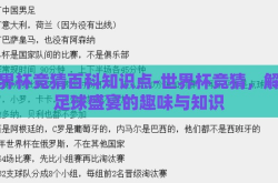 世界杯竞猜百科知识点-世界杯竞猜，解锁足球盛宴的趣味与知识