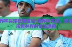 世界杯买球在哪里玩-世界杯买球，安全与乐趣并存的合法途径