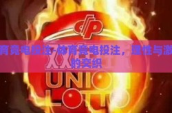 体育竟电投注-体育竟电投注，理性与激情的交织