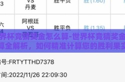 世界杯竞猜奖金怎么算-世界杯竞猜奖金计算全解析，如何精准计算您的胜利果实