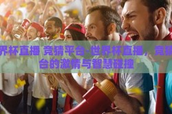 世界杯直播 竞猜平台-世界杯直播，竞猜平台的激情与智慧碰撞