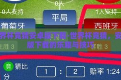 世界杯竞猜安卓版下载-世界杯竞猜，安卓版下载的乐趣与技巧