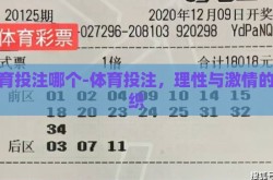 体育投注哪个-体育投注，理性与激情的交织