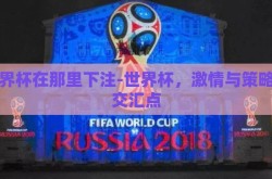 世界杯在那里下注-世界杯，激情与策略的交汇点