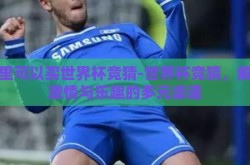 哪里可以买世界杯竞猜-世界杯竞猜，解锁激情与乐趣的多元渠道