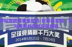 世界杯竞猜在哪里买的-世界杯竞猜，乐趣与规则并存的足球盛宴